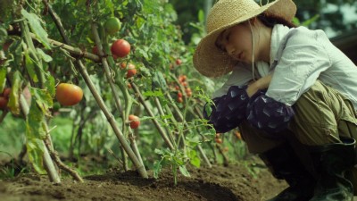 Cánh Đồng Nhỏ: Mùa Hạ Và Thu Little Forest: Summer/Autumn