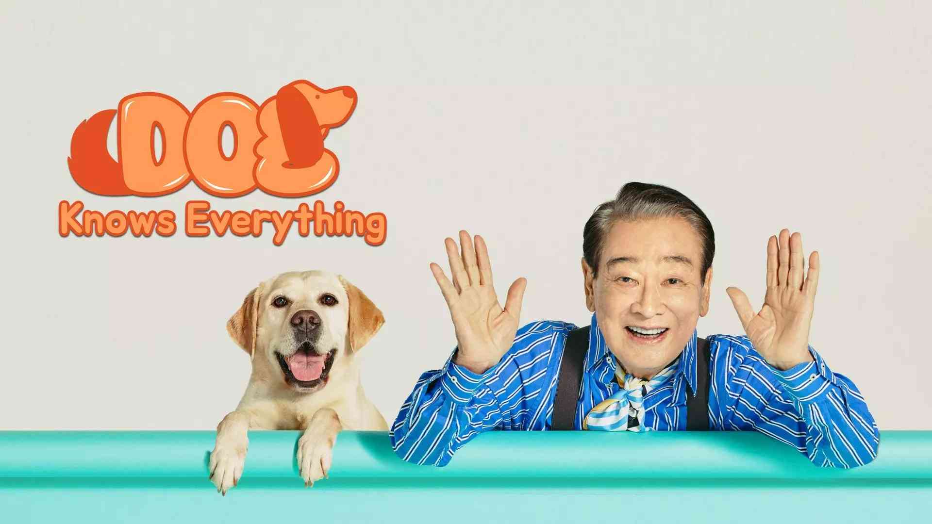 Chú Chó Biết Tuốt Dog Knows Everything