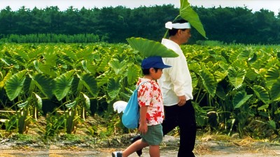 Mùa Hè Của Kikujiro - Kikujiro